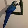 Handmade bird parrot Image 2