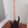 Peavey Millenium AC BXP Active Bass Image 5