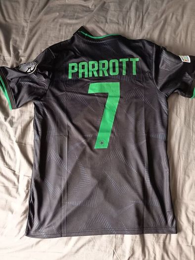 Troy parrot Ireland football jersey