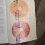 Venga Spanish book Image 3