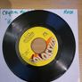 Crystal Mansion Carolina In My Mind 7 inch Vinyl Single Colossus CS 128 Image 2