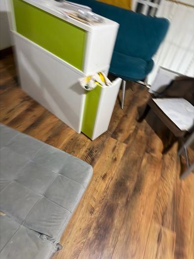 furniture sofa