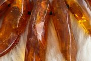 Amber Necklace