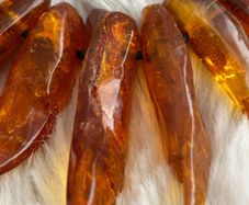 Amber Necklace