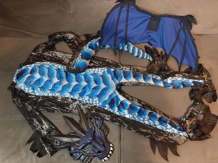 Dragon costume