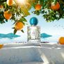 Citrus Poetry by Les Soeurs de Noe Image 4