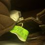 Bnib Timberland Euro Hiker Mid Hiker Md Brown Full Grain Sz. 11.5 Image 6