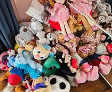 teddies