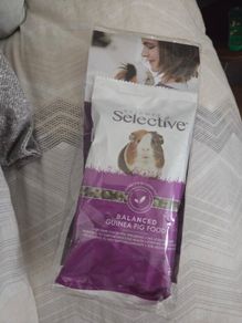 Guinea Pig Food
