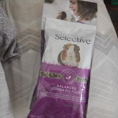 Guinea Pig Food