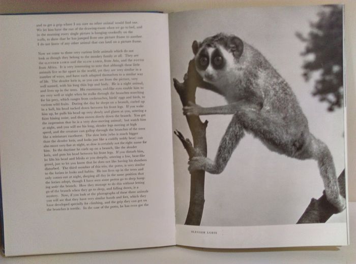 Vintage Different  Encyclopedia books