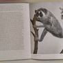 Vintage Different  Encyclopedia books Image 7