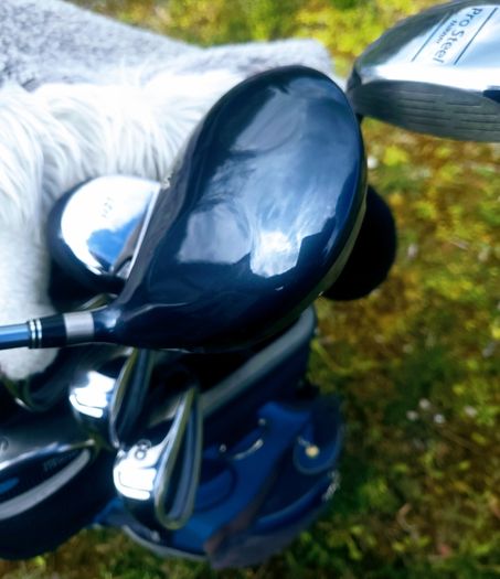 Set of Ladies Golf Clubs