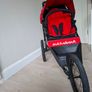 Running buggy Image 5