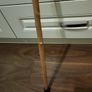 Walking stick Image 6