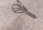 horse halter