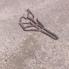 horse halter