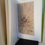 The Painted Stream: A River Warden's Life by Robin Armstrong (HQ590) Image 5