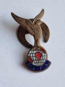 Vintage RAFA Royal Air Force Association Pin Badge
