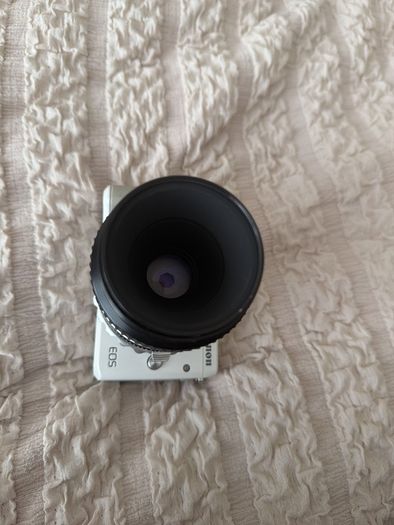 Nikon 55mm f2.8 Macro AIS
