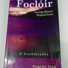 Focloir Irish - English and English - Irish dictionary Ireland Gaeilge
