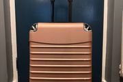 suitcase rose