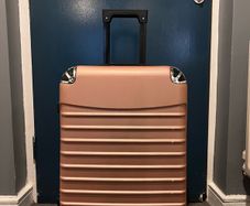 suitcase rose