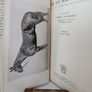 An Eye for a Horse: A Guide to Buying and Judging by Sidney G. Goldschmidt (PT257) Image 3