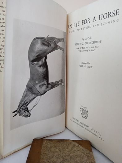 An Eye for a Horse: A Guide to Buying and Judging by Sidney G. Goldschmidt (PT257)