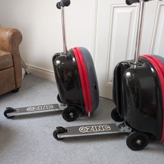 Pair of Zinc Flyte Scooter Suitcases, Shark Design