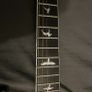 PRS SE Mark Holcomb electric guitar Dimarzio evolution pickups Image 5