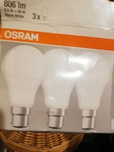bulbs
