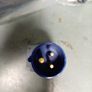 16 amp to 23 amp adaptor Image 3