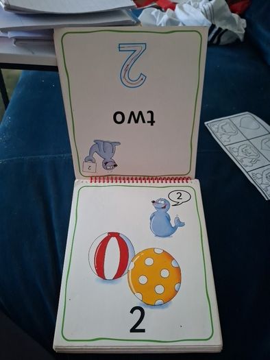Little Flipper Numbers Book