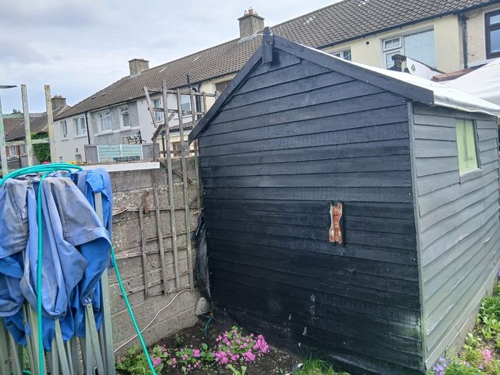 Shed