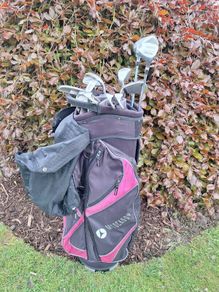 Golf clubs. Ladies or Juvenile