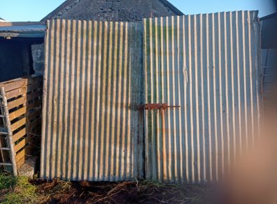 Shed doors