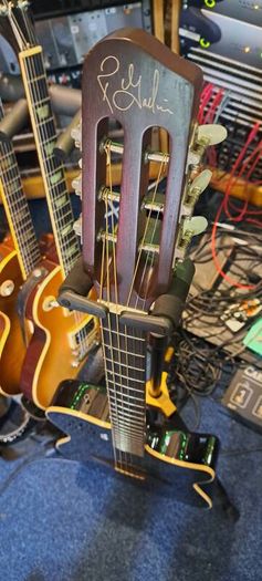 Godin Multiac Steel Duet