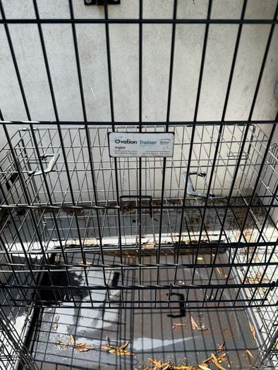 FREE large Dog Cage