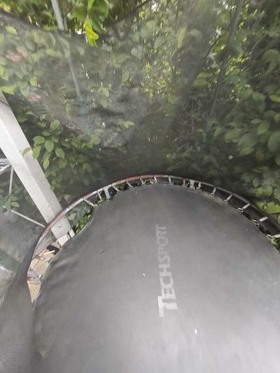 Trampoline  for free