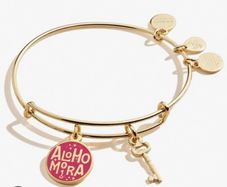 Alex and Ani Harry Potter bracelet