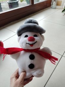 Teddy
