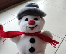 Teddy