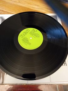 David Bowie The rise and fall of Ziggy Stardust IRISH PRESS
