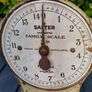 Salter scales Image 2