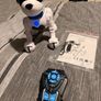 Ziggy the Robo Dog Image 3