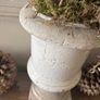 Vintage urn and arrangement Image 5