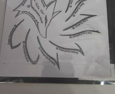 Eyeliner & Eyeshadow Stencil Shapes