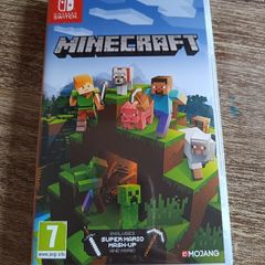 Minecraft game Nintendo software