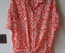 Short sleeve shirt (River Island)